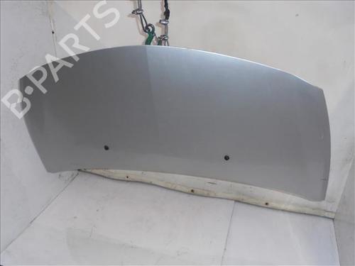 Hood RENAULT CLIO III (BR0/1, CR0/1) 1.5 dCi (C/BR0G, C/BR1G) | BP24563215C1 