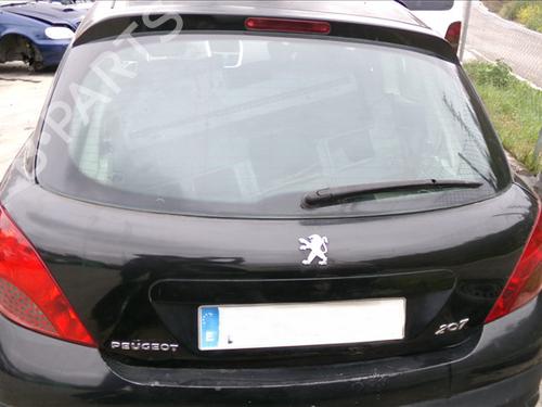 Used Tailgate PEUGEOT 207 (WA_, WC_) 1.4 HDi (68 hp) 25279939