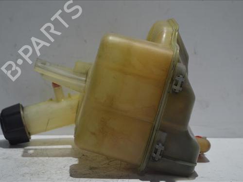 Expansion tank RENAULT LAGUNA II (BG0/1_) 1.9 dCi (BG0R, BG0E) | BP25865027C120 