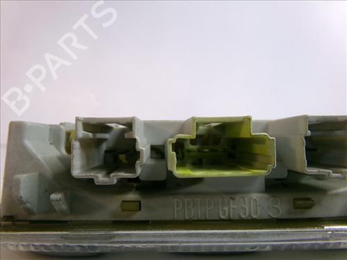 Interior roof light CITROËN XSARA PICASSO (N68) 2.0 HDi | BP24859792I8 