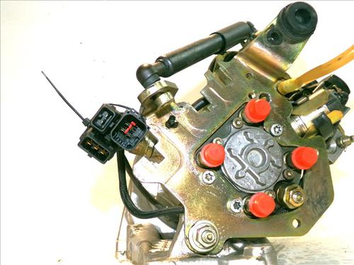 Injection pump PEUGEOT 206 Hatchback (2A/C) 1.9 D | BP29520395M78 