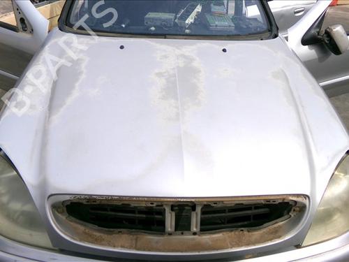 Used Hood CITROËN XSARA (N1) 2.0 HDi 90 (90 hp) 29695696