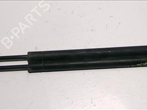 Tailgate lift support BMW X5 (E53) 3.0 d | BP24557969C138