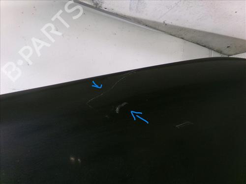 Hood VW TOUAREG (7LA, 7L6, 7L7) 2.5 R5 TDI | BP24559378C1 
