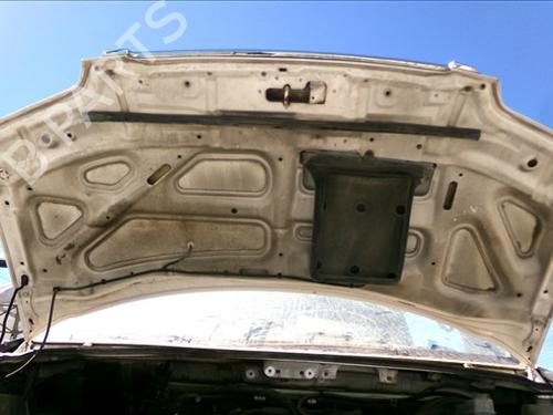 Hood HYUNDAI H-1 Van (A1) 2.5 CRDi | BP28838404C1 