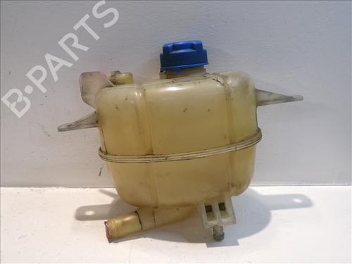 Expansion tank CITROËN NEMO Box Body/MPV (AA_) 1.3 HDi 75 | BP26204559C120 