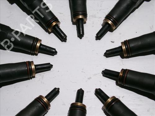Injector VW TOUAREG (7LA, 7L6, 7L7) 5.0 V10 TDI | BP24860791M100 