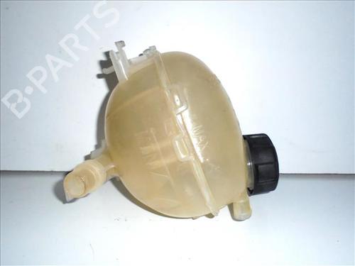 Expansion tank PEUGEOT 208 II (UB_, UP_, UW_, UJ_) 1.2 PureTech 75 | BP24561842C120 