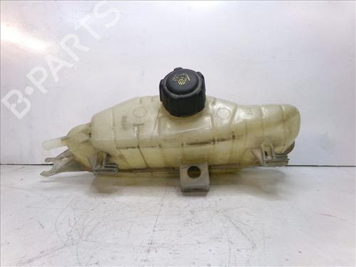 Expansion tank RENAULT CLIO III (BR0/1, CR0/1) 1.5 dCi (C/BR0G, C/BR1G) | BP24860608C120 