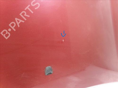 Hood FIAT BRAVO II (198_) 1.6 D Multijet (198AXH1B) | BP24563324C1 