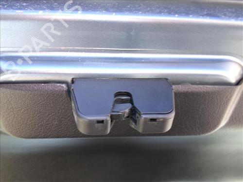 Used Tailgate lock PEUGEOT 307 (3A/C) 2.0 HDi 90 (90 hp) 25254975