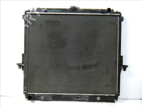 Køler NISSAN PATHFINDER III (R51) 4.0 4WD (269 hp) 24560619