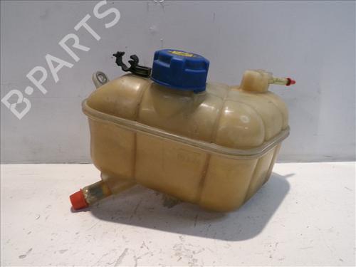 Used Expansion tank FIAT BRAVO II (198_) 1.6 D Multijet (198AXH1B) (105 hp) 24563321
