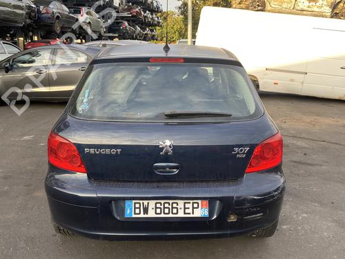 Right front door PEUGEOT 307 (3A/C) 1.6 HDi | BP25570661C3 