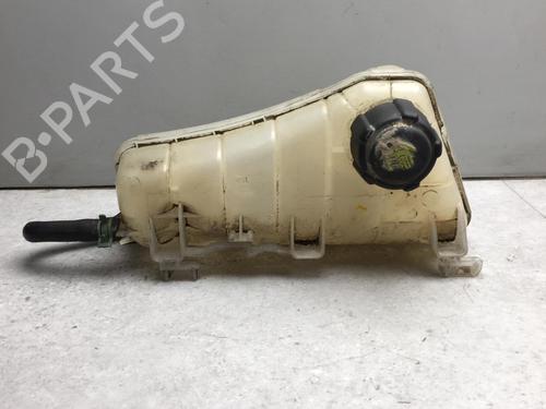 Used Expansion tank RENAULT KANGOO / GRAND KANGOO II (KW0/1_) 1.5 dCi 90 (KW05, KW08, KW0G, KW11) (90 hp) 25525577