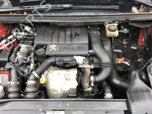 Høyre bak beltestrammer PEUGEOT 307 (3A/C) 1.6 HDi 110 | BP25534997C90 