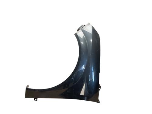 Used Left front fenders RENAULT GRAND SCÉNIC II (JM0/1_) 1.5 dCi (JM1E) (106 hp) 27410145