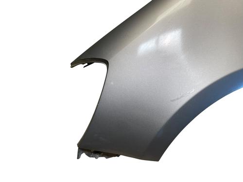 Left front fenders RENAULT CLIO III (BR0/1, CR0/1) 1.5 dCi (C/BR0G, C/BR1G) | BP28203655C41