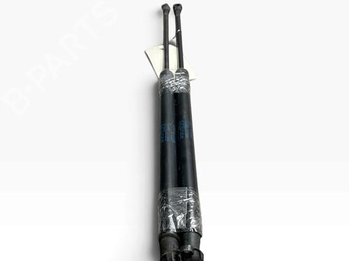 tailgate-lift-support-citroen-c4-cactus-2014-40172648 main image