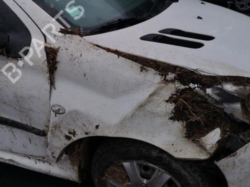 Front right panel PEUGEOT 206+ (2L_, 2M_) 1.1 | BP25578924C59  - Image 24