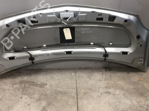 Used Hood Hood RENAULT KANGOO / GRAND KANGOO II (KW0/1_) 1.5 dCi 90 (KW05, KW08, KW0G, KW11) (90 hp) 25571542 25571542