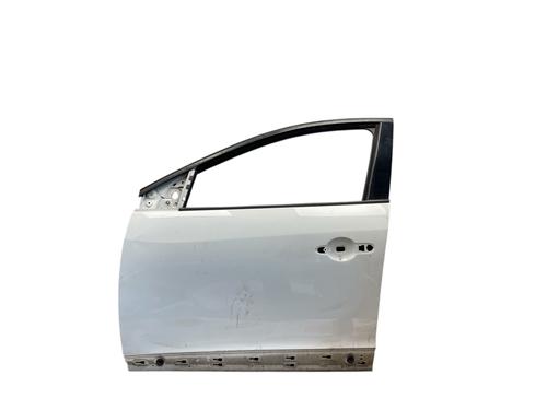 Left front door RENAULT MEGANE III Hatchback (BZ0/1_, B3_) 1.4 TCe (BZ0F, BZ1V) | BP25517428C2 
