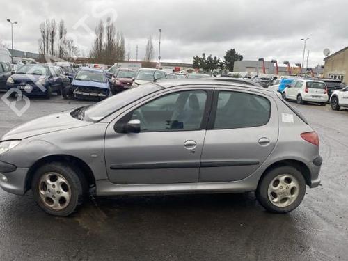 Tailgate PEUGEOT 206 Hatchback (2A/C) 2.0 HDI 90 | BP25501907C6 