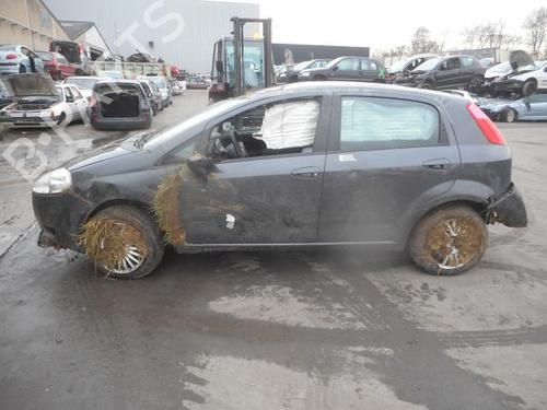 - Image 8