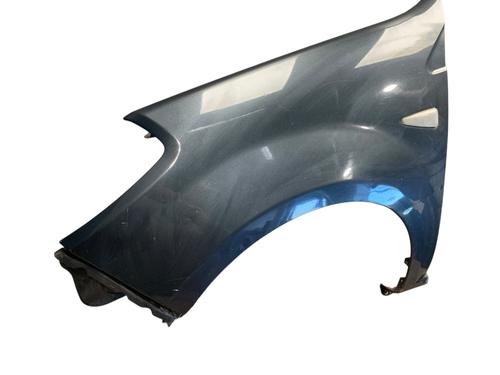 Left front fenders DACIA SANDERO 1.4 (BS0C, BS0A, BS0G, BS1F, BS0E) | BP28622276C41