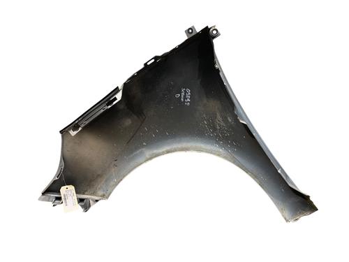 Right front fenders RENAULT SCÉNIC III (JZ0/1_) 1.5 dCi | BP25546087C42