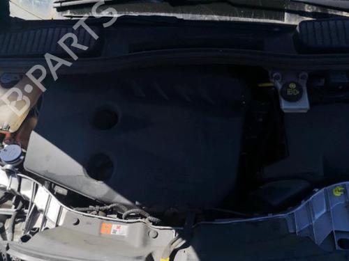 Rudehejsemekanisme Højre foran FORD C-MAX II (DXA/CB7, DXA/CEU) 1.6 TDCi | BP25579494C23 