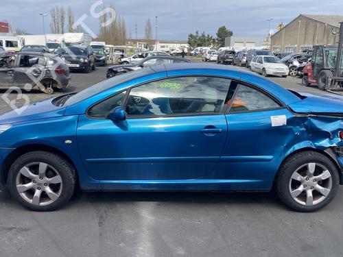 Headrest PEUGEOT 307 CC (3B) 2.0 16V | BP25576101I31 