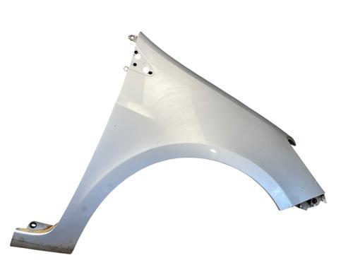 Used Right front fenders RENAULT CLIO III (BR0/1, CR0/1) 1.2 16V (BR02, BR0J, BR11, CR02, CR0J, CR11) (75 hp) 25518208