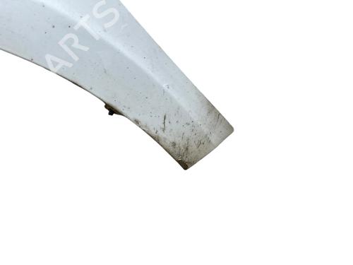 Left front fenders RENAULT LAGUNA III (BT0/1) 2.0 dCi (BT07, BT0J, BT14, BT1A, BT1S) | BP25513067C41 