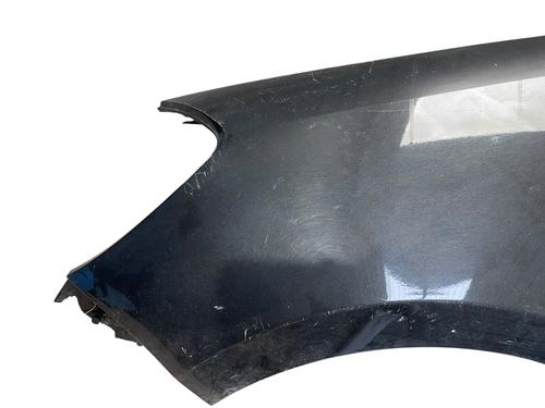 Left front fenders RENAULT CLIO III (BR0/1, CR0/1) 1.5 dCi (C/BR0G, C/BR1G) | BP27589048C41