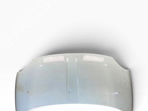 hood-fiat-500-c-312_-2009-33806163 main image