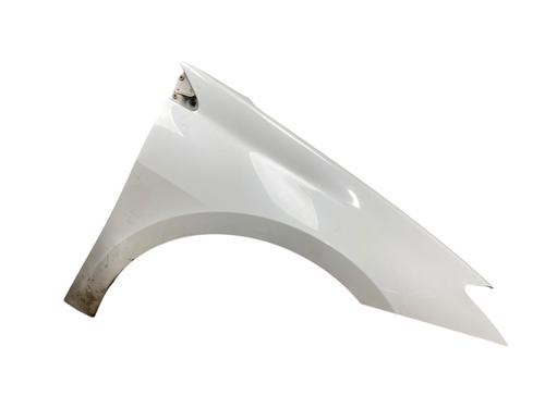 Used Right front fenders RENAULT LAGUNA III (BT0/1) 2.0 dCi (BT07, BT0J, BT14, BT1A, BT1S) (131 hp) 25513068