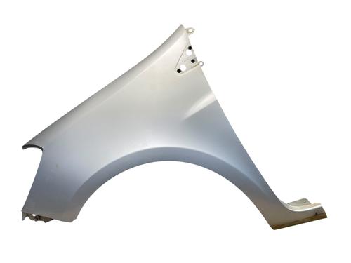 Used Left front fenders RENAULT CLIO III (BR0/1, CR0/1) 1.5 dCi (C/BR0G, C/BR1G) (68 hp) 25575745