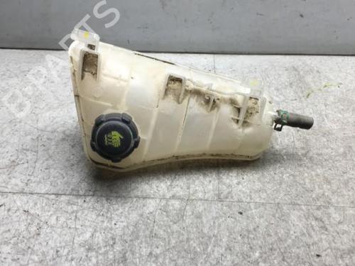 Used Expansion tank RENAULT KANGOO / GRAND KANGOO II (KW0/1_) 1.5 dCi 90 (KW05, KW08, KW0G, KW11) (90 hp) 25573587