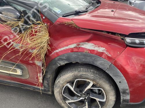 Starter CITROËN C3 III (SX) 1.2 PureTech 82 | BP26289719M8  - Image 8