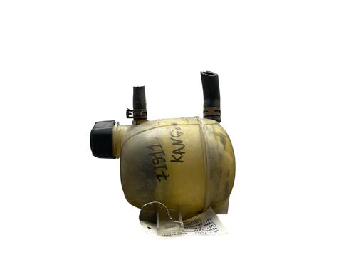 Used Expansion tank RENAULT KANGOO (KC0/1_) D 65 1.9 (KC0E, KC02, KC0J, KC0N) (64 hp) 25511353