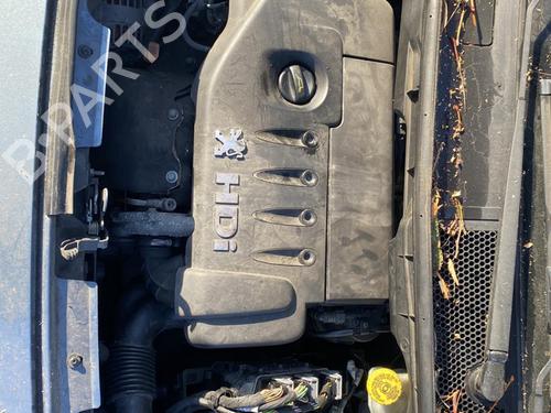 Front left belt tensioner PEUGEOT 1007 (KM_) 1.4 HDi | BP25556945C87 