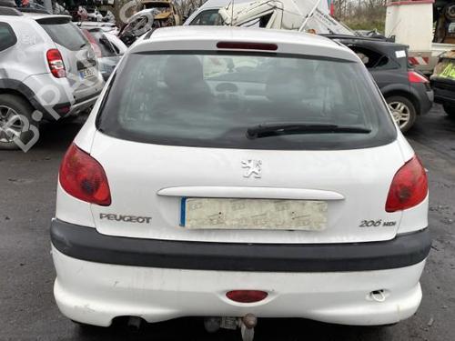 Tailgate lift support PEUGEOT 206 Hatchback (2A/C) 1.4 HDi eco 70 | BP25501613C138 