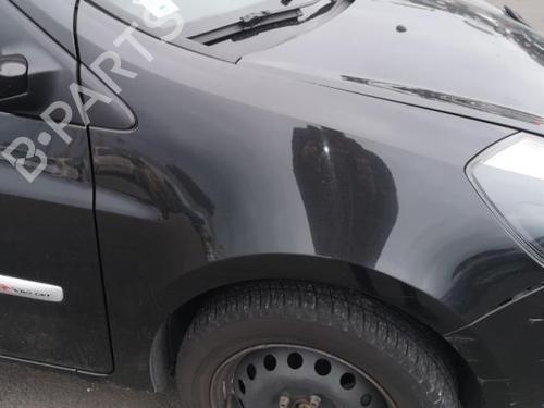 Left front fenders RENAULT CLIO III (BR0/1, CR0/1) 1.5 dCi (C/BR0G, C/BR1G) | BP27589048C41