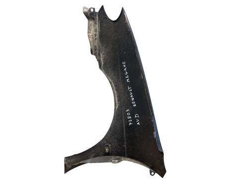 Right front fenders RENAULT MEGANE I (BA0/1_) 1.6 16V (BA04, BA0B, BA11, BA1J, BA16, BA19, BA1K, BA1V,... | BP30308096C42