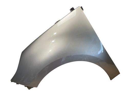 Used Left front fenders RENAULT SCÉNIC III (JZ0/1_) 1.6 E85 (JZ03, JZ1Y) (110 hp) 25549822