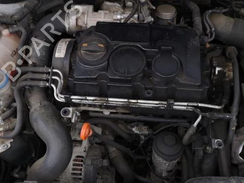 Left tailgate light VW GOLF PLUS V (5M1, 521) 1.9 TDI | BP25523556C79  - Image 13