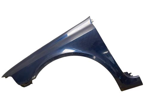 Left front fenders RENAULT LAGUNA II (BG0/1_) 1.6 16V (BG1G, BG1H) | BP25525782C41 
