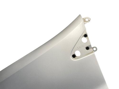 Left front fenders RENAULT CLIO III (BR0/1, CR0/1) 1.5 dCi (C/BR0G, C/BR1G) | BP25575745C41 