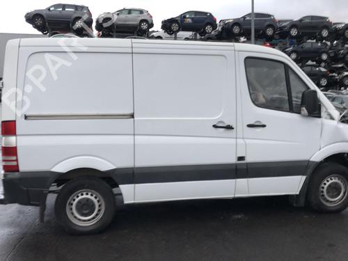 Left front door MERCEDES-BENZ SPRINTER 3-t Van (B906) 209 CDI (906.611, 906.613) | BP25541372C2 